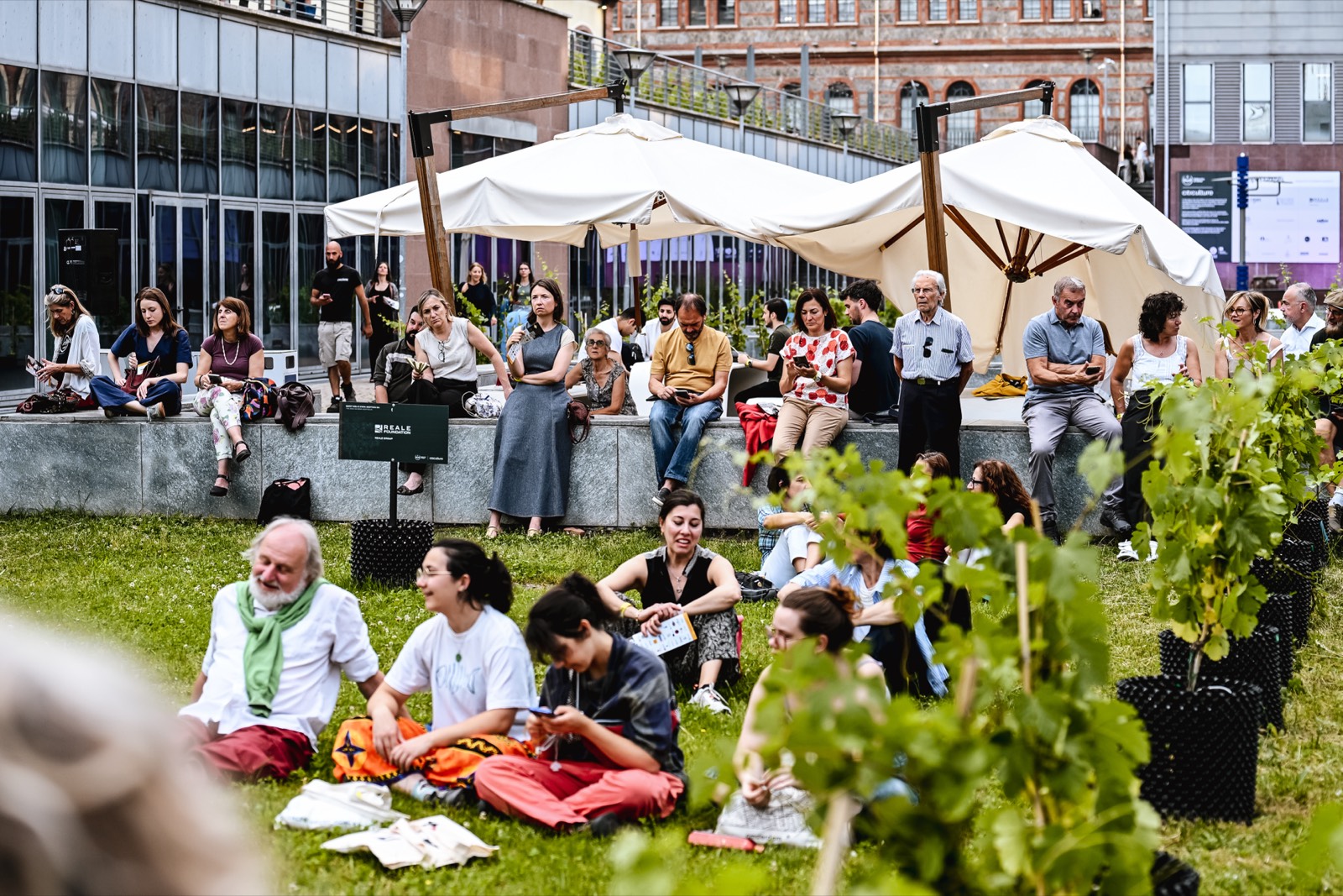 Vigna urbana al Politecnico di Torino