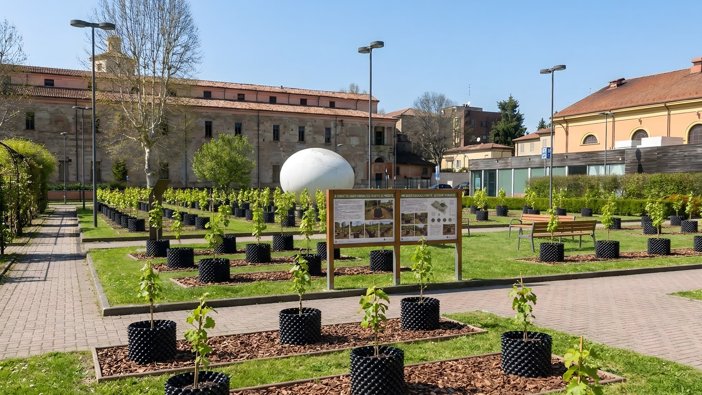 Vigna della Cavallerizza, Piacenza