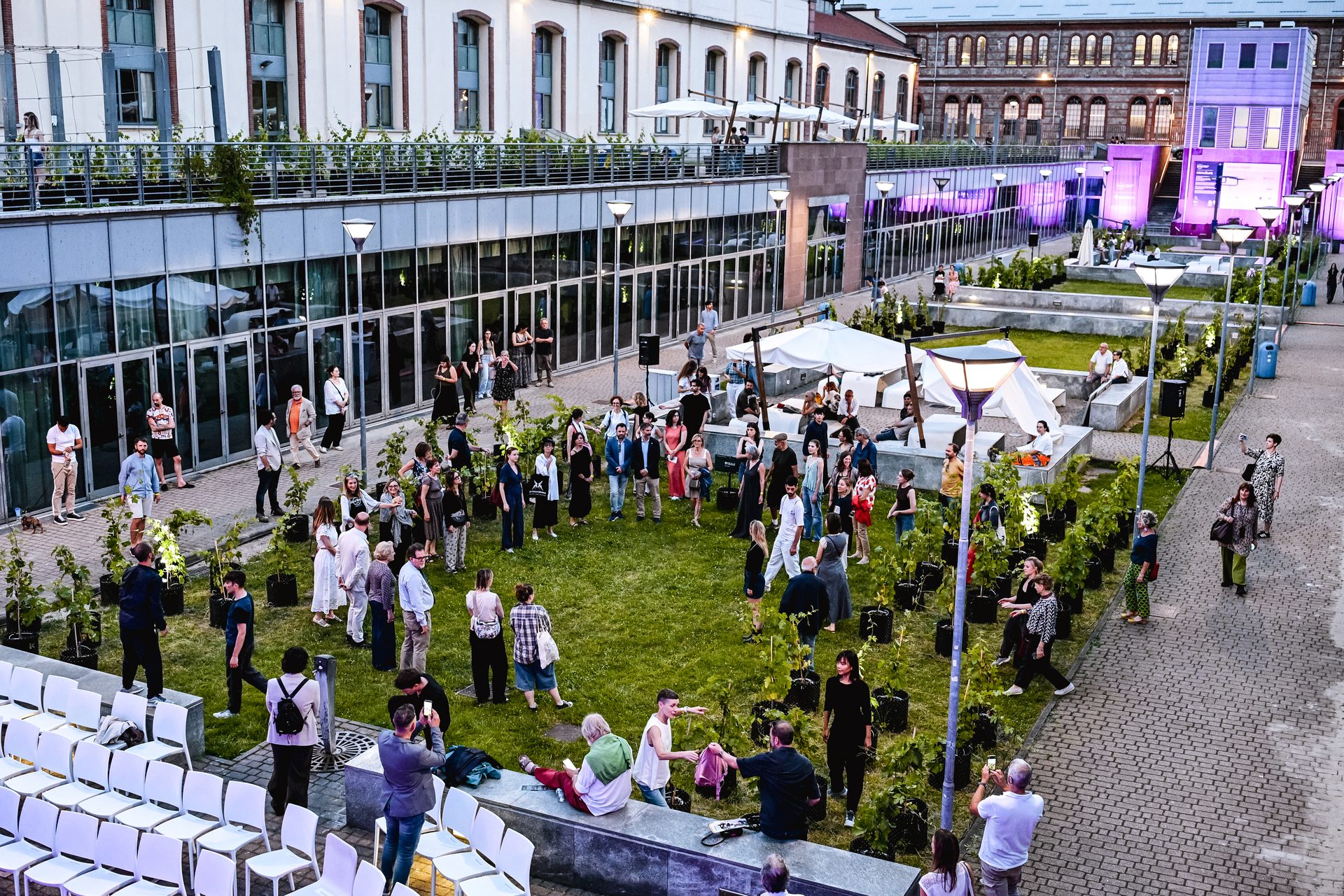 Hub Citiculture al Politecnico di Torino: vigna urbana in uno spazio pubblico simbolico della città