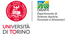 Universita di Torino
