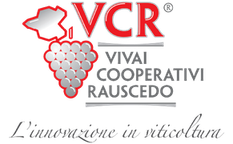 VCR Vivai Cooperativi Rauscedo